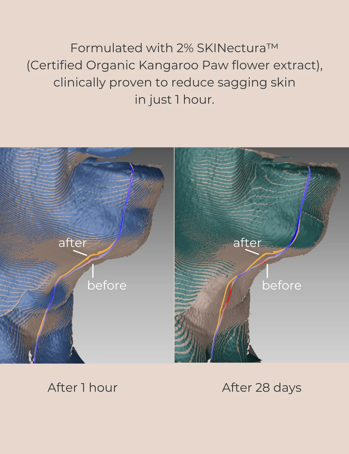 INIKA Organic Pure Perfection Primer (GWP) - Image 3