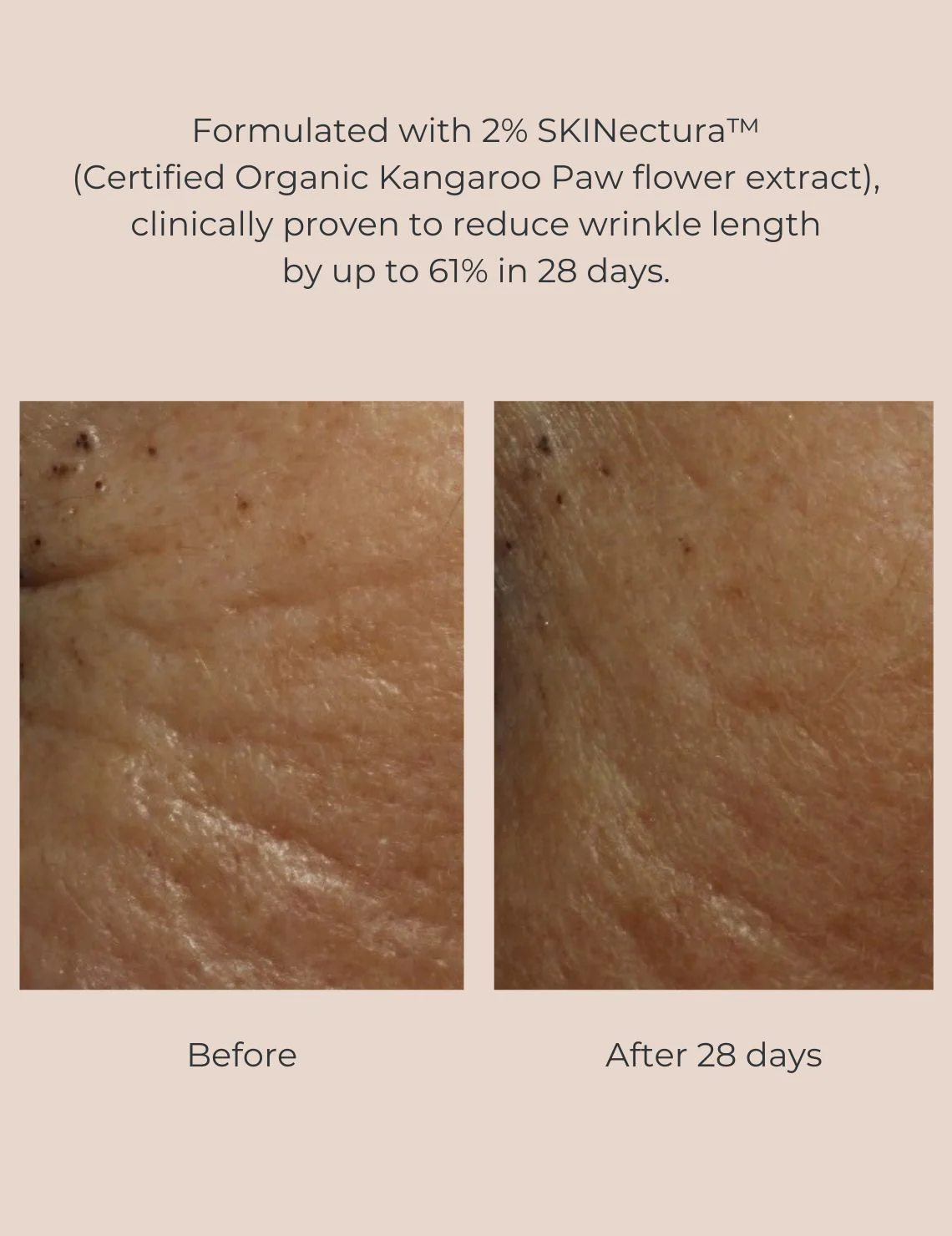 INIKA Organic Pure Perfection Primer (GWP) - Image 4